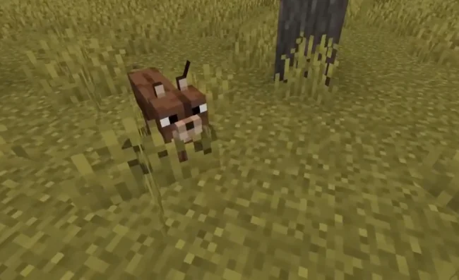 Рысь из мода Caracal