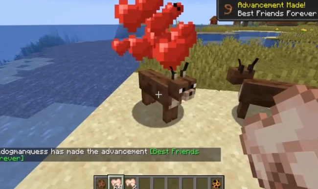 Приручение рыси с модом Caracal