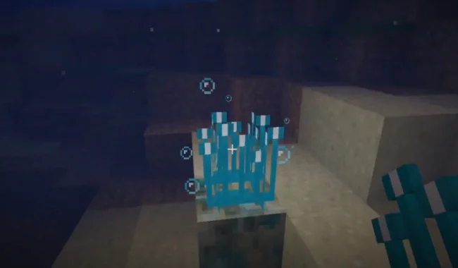 Светящееся растение из мода CoralReef