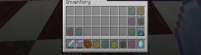 Предметы из мода Forgotten Items в инвентаре