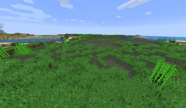 Новое болото