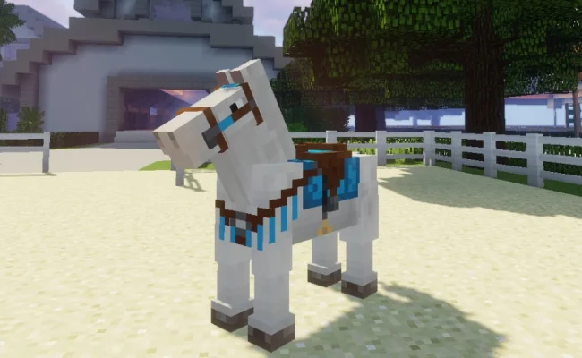 Новое седло