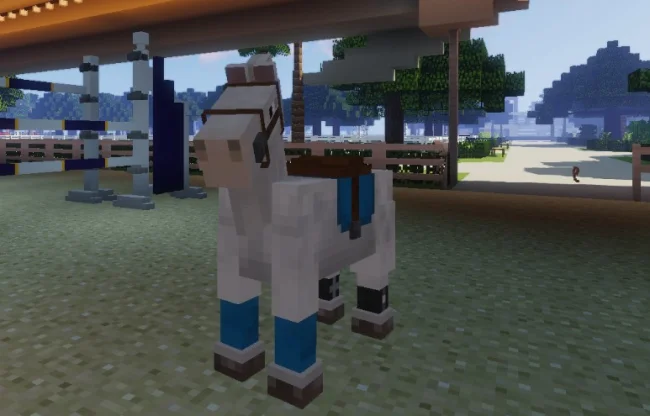 Новая упряжка