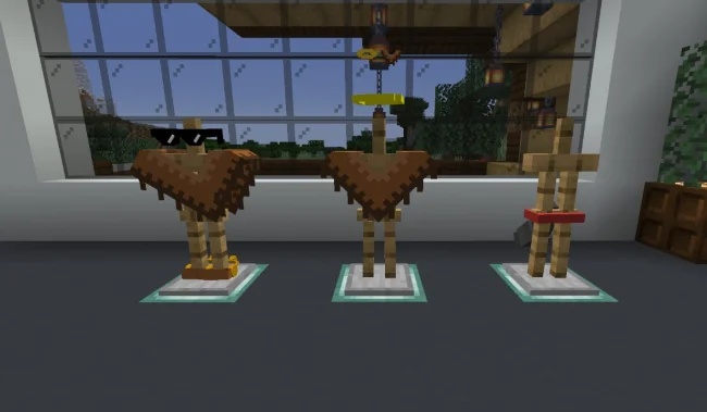 Новая одежда