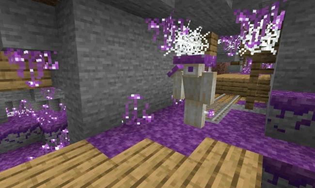 Грибные шахты