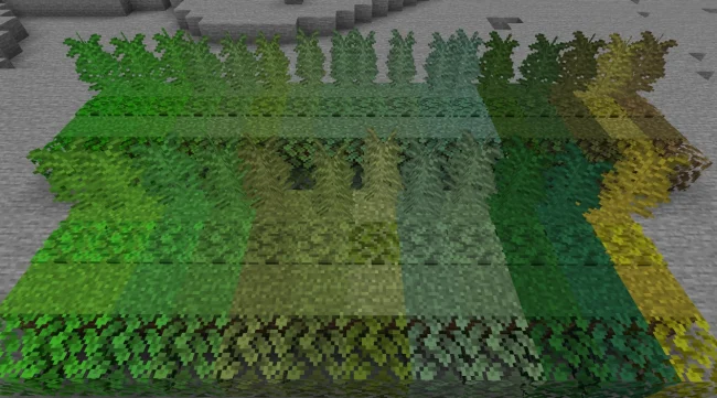 Листва и трава