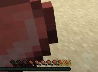 Индикатор насыщенности из мода AppleSkin