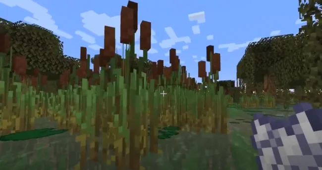 Новые растения в болоте из мода Swampier Swamps