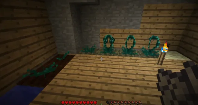 Процесс роста растений из мода Ender Crop