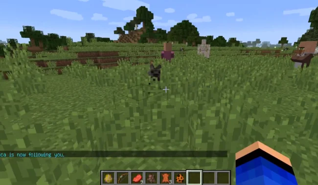 Следование моба с модом Follow Me