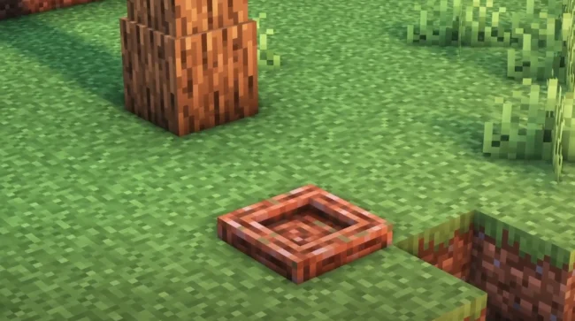 Вид гнезда из мода Incubation