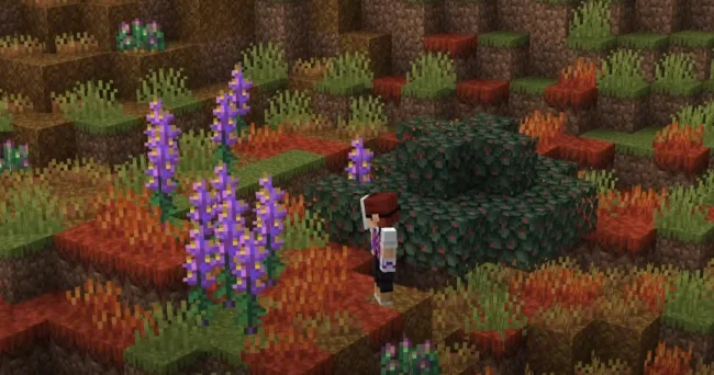 Новые растения в биоме из мода Windswept