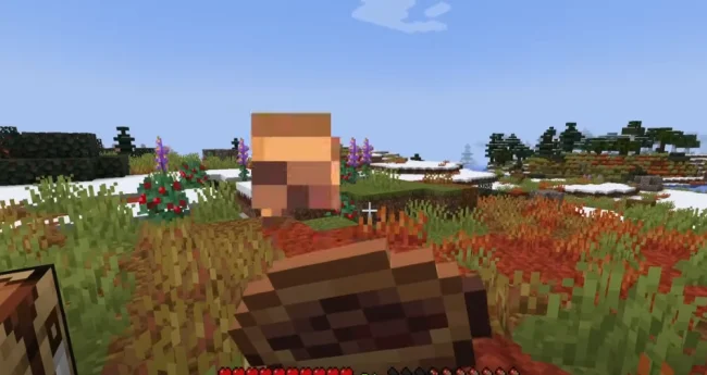 Новый биом из мода Windswept