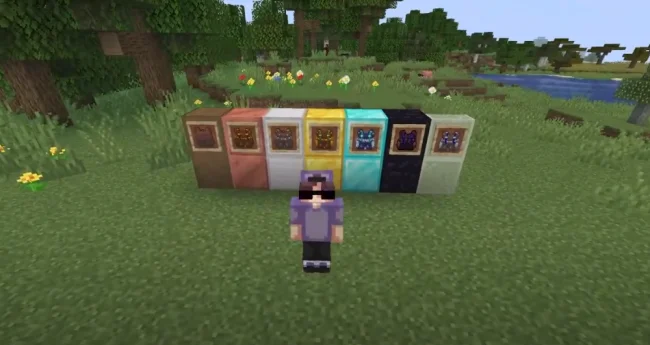 Рюкзаки из мода Packed Up