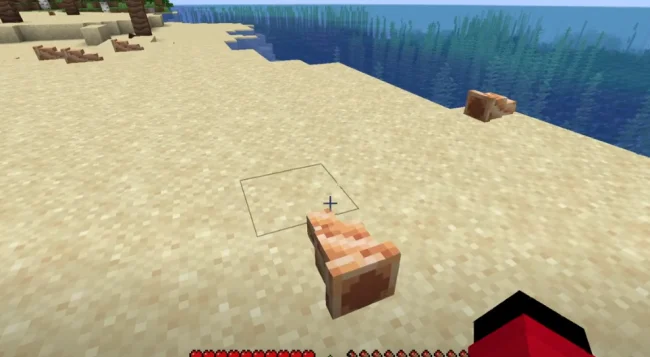 Ракушка из мода Tidal