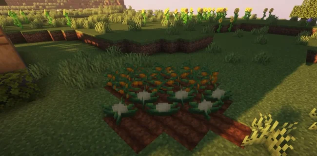 Процесс выращивания новых овощей из мода Veggies Delight