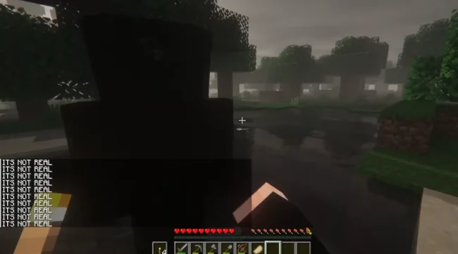 Аномалия из мода ITS NOT REAL