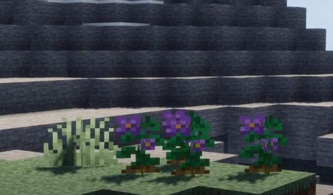 Процесс выращивания новых растений из мода The Irregular Chef