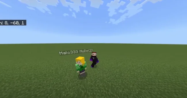 Отображение ника с модом Hidden Names