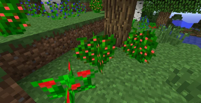 Мод на растения для Майнкрафт 1.20.1 / 1.19.4 (Wild Bushes)