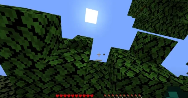 Процесс пропажи листьев из мода Quick Leaf Decay