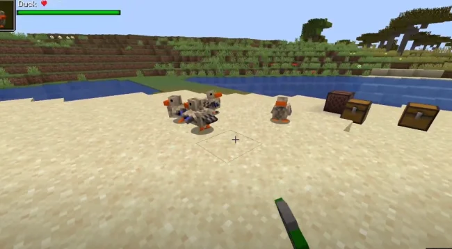 Утки из мода Duckery