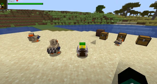 Селезень из мода Duckery