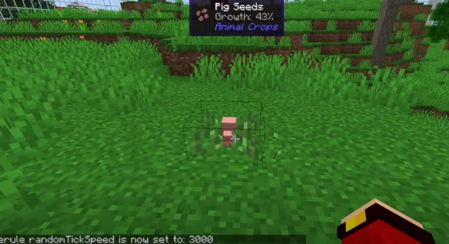 Процесс выращивания свиньи на грядке из мода Animal Crops
