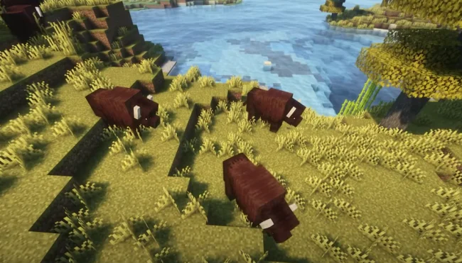 Зубры из мода WilderNature