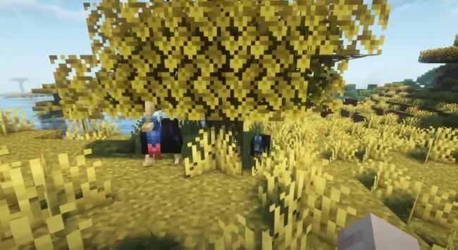 Новые птицы из мода WilderNature