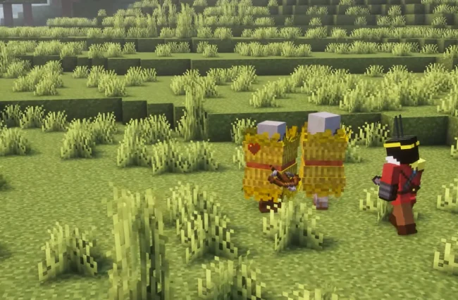 Процесс боя с новым мобом из мода Illage and Spillage