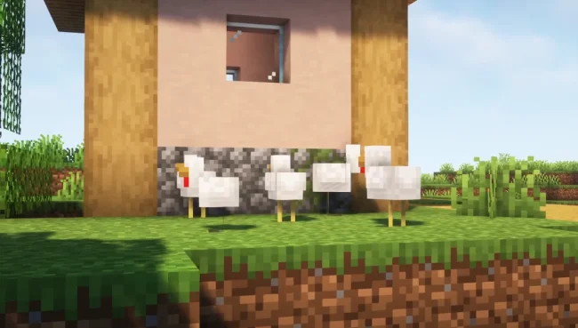 Сравнение обычных куриц и куриц из мода Variable Mob Height