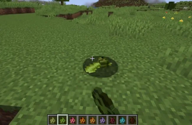 Новые яйца призыва из мода Unusual Fish