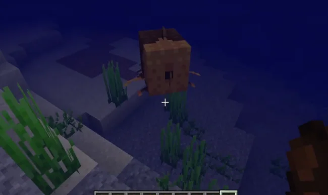 Новая рыба из мода Unusual Fish