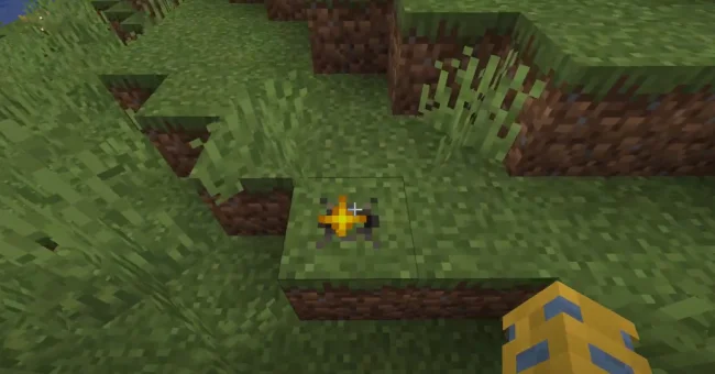 Нововведение из мода Little Joys