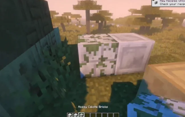 Новые блоки из мода Some More Blocks