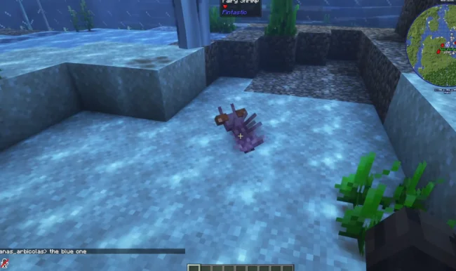 Новая рыба из мода Fintastic