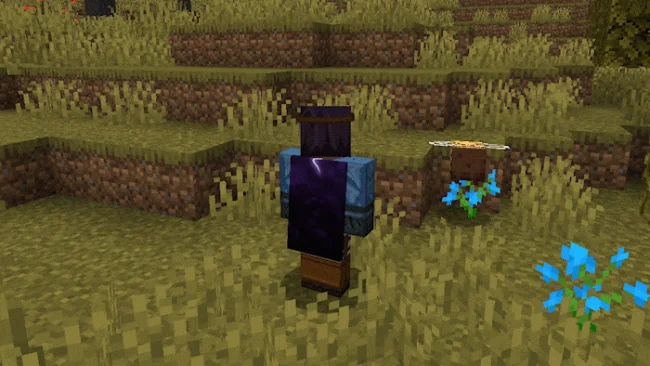 Мод на броню для Майнкрафт 1.20.1 / 1.19.4 (Skillcloaks)