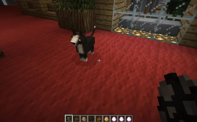 Новая кошка из мода Pet Shop