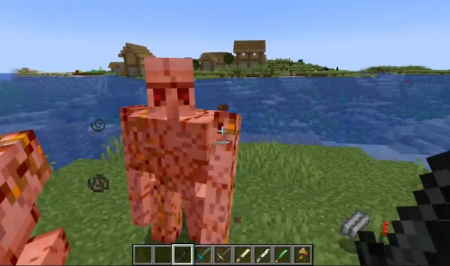 Процесс боя с новым мечом из мода Special Drops