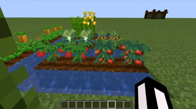Грядки с новыми растениями из мода PizzaCraft