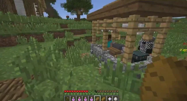 Новые постройки в деревне из мода Dungeon Realm