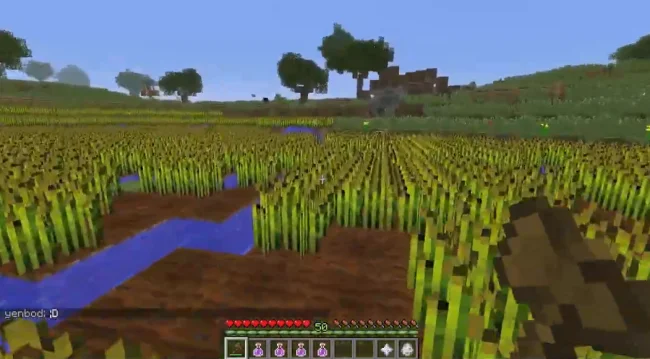 Большое поле в деревне из мода Dungeon Realm