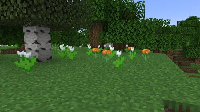 Мод на растения для Майнкрафт 1.21.1 / 1.20.4 (Marigold Flower)