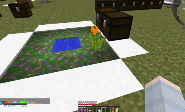 Новый оранжевый цветок из мода Marigold Flower