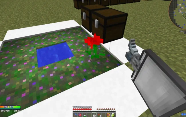 Новый красный цветок из мода Marigold Flower