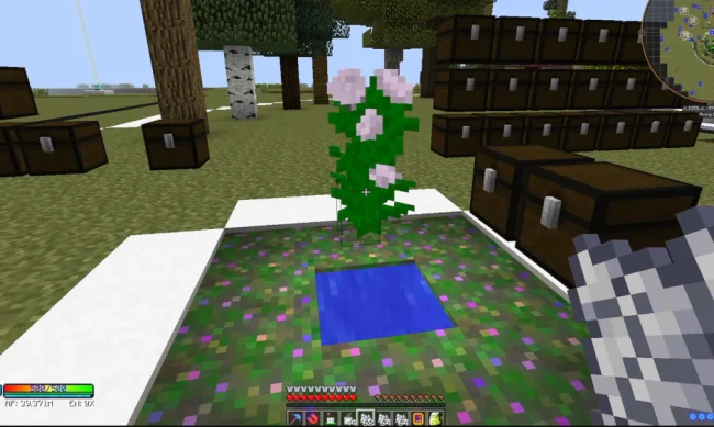 Новый высокий цветок из мода Marigold Flower