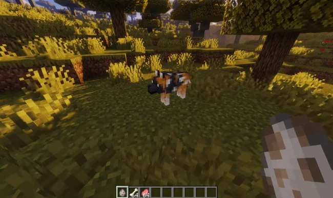 Новый моб из мода Backported Wolves