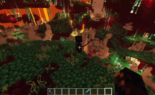 Новый биом из мода Even Better Nether