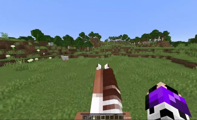 Процесс поездки на новой лошади из мода Star Worm Equestrian